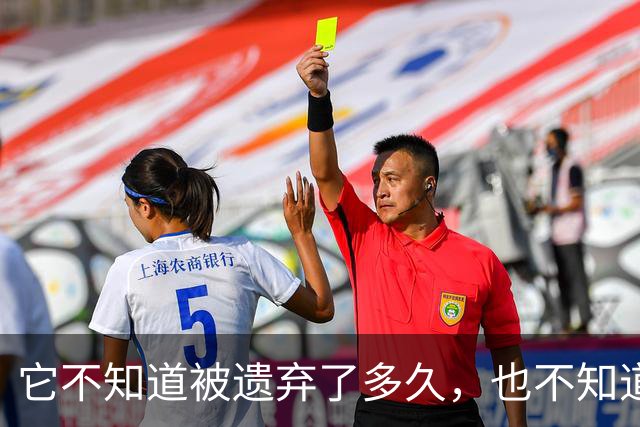 它不知道被遗弃了多久，也不知道物业要清理它，还围着人类在讨好呢