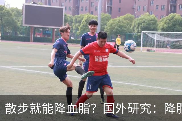 散步就能降血脂？国外研究：降脂有6个最佳方法，不是散步